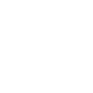 Twenty 4 Scope